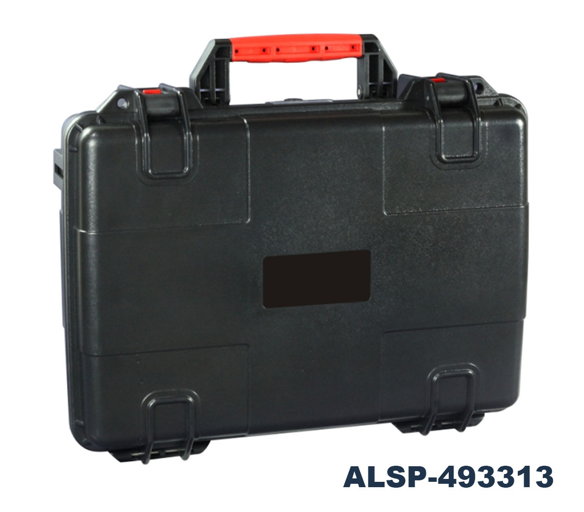 ALSP-493313