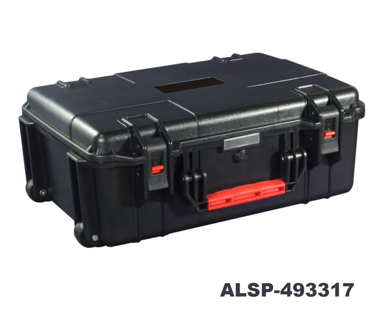 ALSP-493317