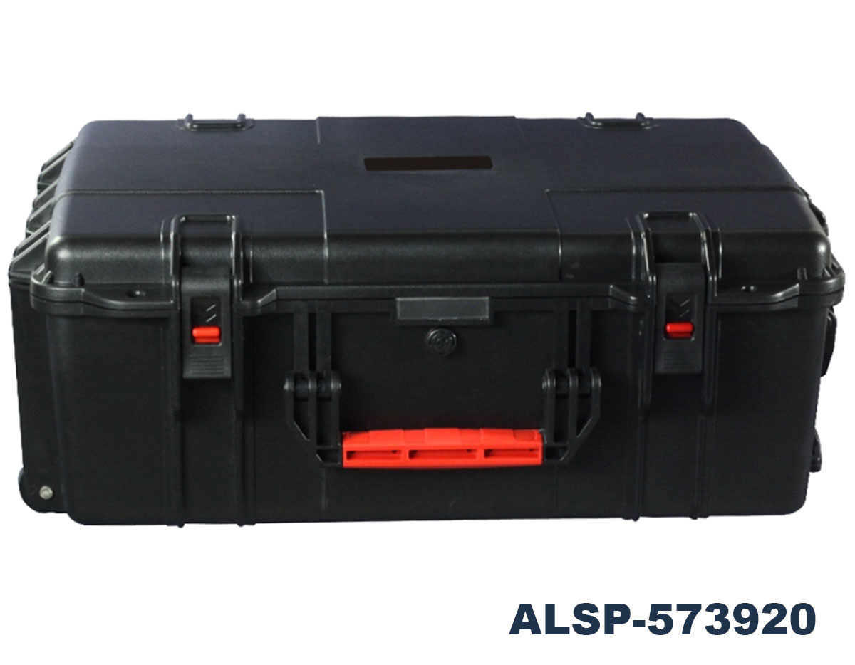 ALSP-573920