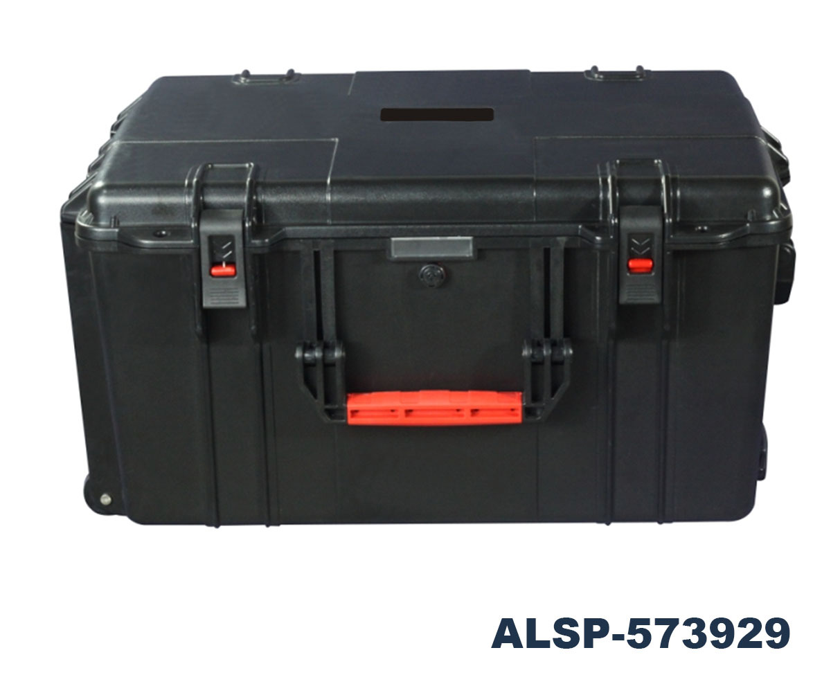 ALSP-573929