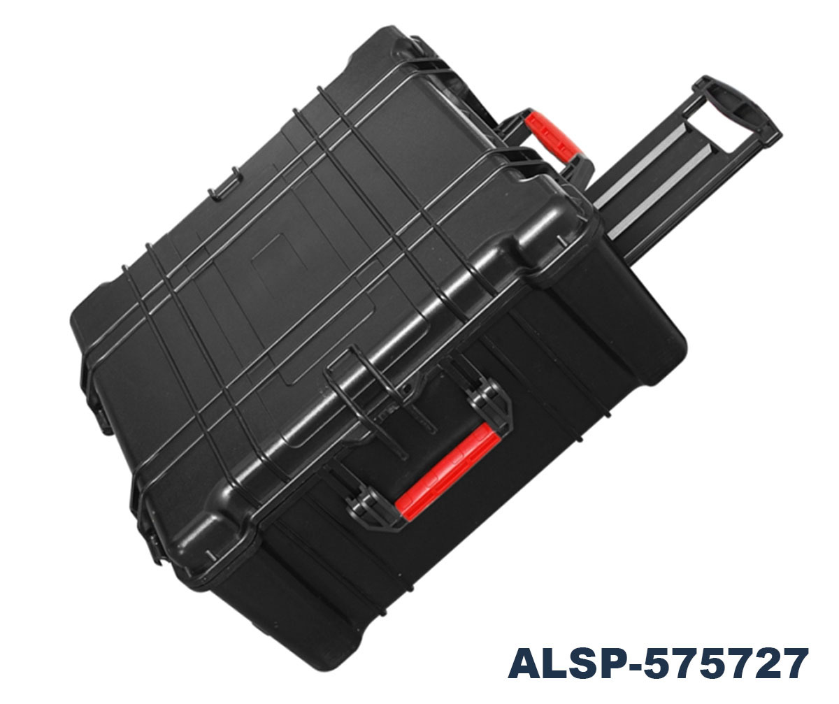 ALSP-575727