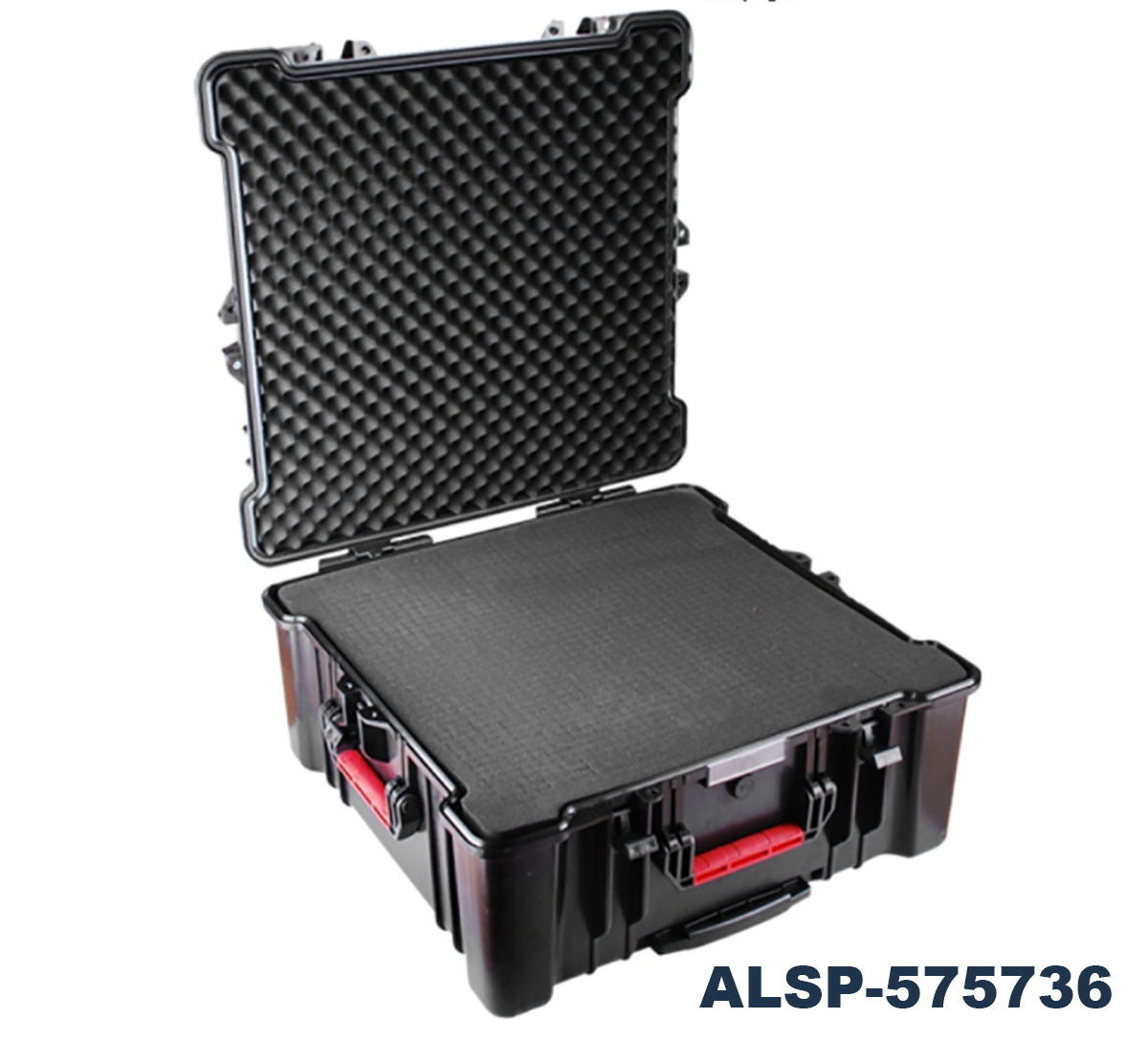 ALSP-575736